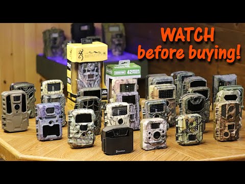 Trail Cameras: What They Are, How They Work, Technical Details, and Use Cases