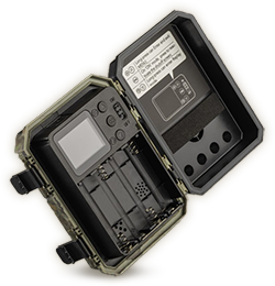 Wachman Mini Trail Camera back view showing display and controls