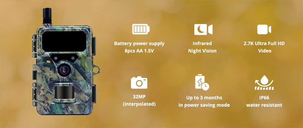Wachman Discovery 4G