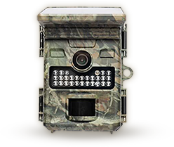 Wachman Solar Lite Front View